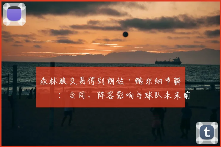 森林狼交易得到朗佐·鲍尔细节解析：合同、阵容影响与球队未来前景