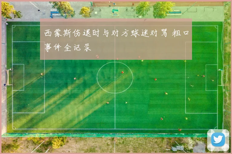 西蒙斯伤退时与对方球迷对骂 粗口事件全记录